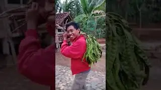 Maling Pete