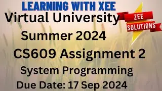 CS609 System Programming Assignment 2 Summer 2024 Virtual University of Pakistan