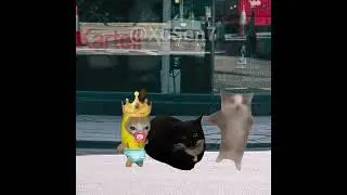 BANANA CAT 🍌🐱 BABY BIRTHDAY AND WAS CAUGHT STEALING A CAKE 