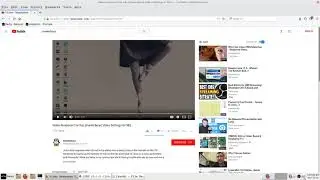 Linux Lite 3.6 : Video Response : to  