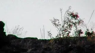 село Животики - DV