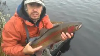 PESCA Y DEVOLUCIÓN, EL CAJAS, CUENCA - ECUADOR. PEKOSA 6 LIBRAS