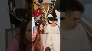 белка #shorts