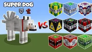 Super Dog vs Powerful TNT vs Nuclear BOMB! Can Super Dog Survive?