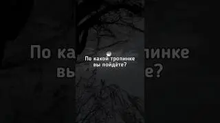 🏃‍♂️По какой тропинке Вы пойдëте? 🏃‍♂️ 
