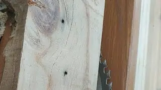 🔴 live mini table saw