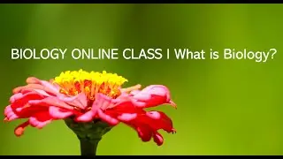 Biology Online Class I What is Biology?