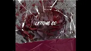 Letting Go - ylc rōzu