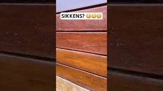 Update 1: Outdoor Wood Finishes Experiment. #woodfinishes #woodworking #diy