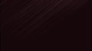 sad cat dance compilation
