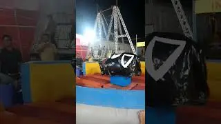 buffaloo ride in ganpati delhi