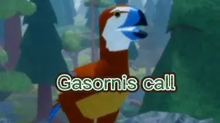 Gasornis call