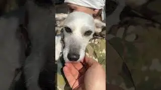 Тоша 🥰