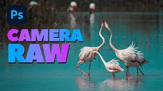 Retoque completo en CAMERA RAW 16.4 | Alain Perdomo