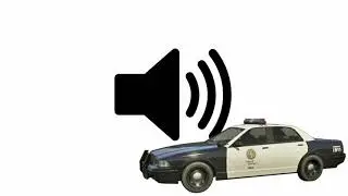 "DISPATCH!, Suspect is ON FOOT!" (CopCar Voice Lines)