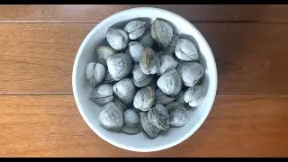 그리스인이 알려주는 지중해식 '동죽조개찜'