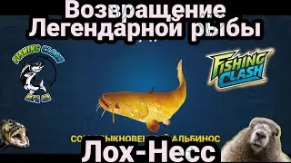 Возвращение Легендарной рыбы на Лох-Несс / Игровой процесс / Fishing Clash: Реальная рыбалка