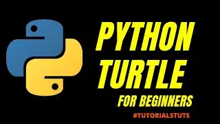 How to draw Square Shape in Python Turtle | Python Turtle | Tutorials Tuts