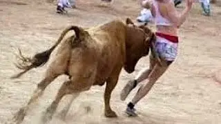 Funny Videos | Best BULL Attacks | Funny BullFighting Festival | Funny videos Compilation 2023_HIGH