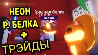 НЕОН райд БЕЛКА + ТРЕЙДЫ | ЧТО ДАЮТ ЗА Н.Р. БЕЛКУ В Adopt me roblox