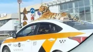 Чё...