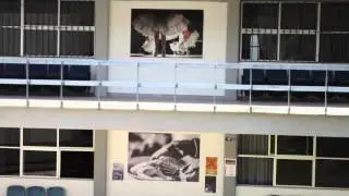 Club Fotográfico - FCPyS - UAQ