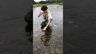 FLY FISHING FOR WILD BROOK TROUT!!