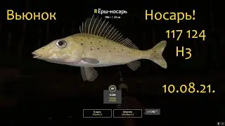 рр4!  Вьюнок Ёрш носарь!
