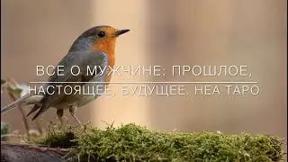 👨♣️Таро. ✅🧚🏻Все о нем. Что было? Что есть? Что будет? 010420 👩🏾‍💻НеаТаро.