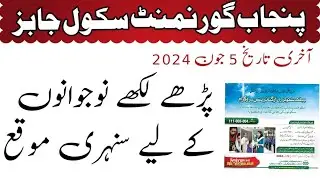 public schools reorganisation program by pm Punjab maryam nawaz sharif complete details