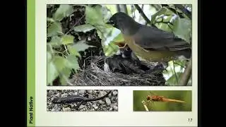 Garden Wilding with OSU Master Gardeners