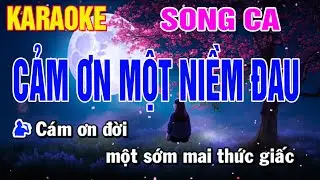 Cảm Ơn Một Niềm Đau Karaoke Song Ca | Nhạc Sống 2024