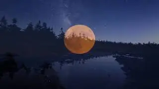 Shepherd Moons  -  Enya