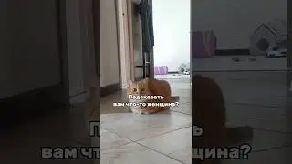 Подсказать вам что то ? 😁 