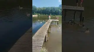 прижок з моста 