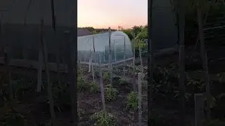 УЖАС!!!МОРОЗ ЛЕТОМ!!!
