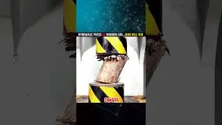 HYDRAULIC PRESS VS WOODS #viralfeed #viral #viralshort #usa #canada #china #chill #trending #usarmy