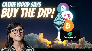Cathie Wood says BUY THE DIP! What happens now?
