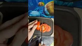 Вкусно-невкусные помидоры)))