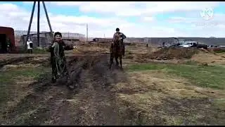Обучение ЛОШАДИ! Колхозники заезжают жеребца!