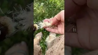 Не видела  его лет 25