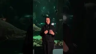 24 мая состоится акустический концерт в пространстве Море музыки. Приходи. Билеты в описании