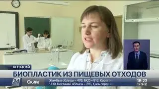 Биопластик из пищевых отходов разработали ученицы НИШ ФМН г.Костанай