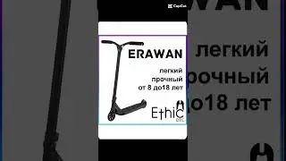 хамстер криминал