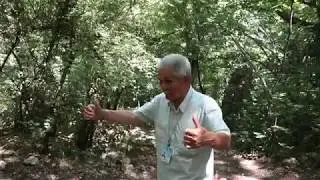 Мангуп Часть 2