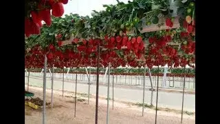 Вторая жизнь малообьемки