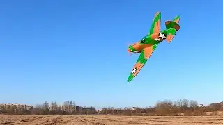 Curtiss P-40 Warhawk RC Plane maiden flight