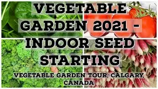Vegetable Garden  2021 in Calgary, Alberta Indoor Seed Starting # vegetablegarden 