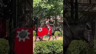 Kansas City Renaissance Festival 2024