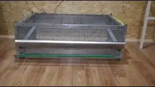Клетки от Дмитрия Бочарова.